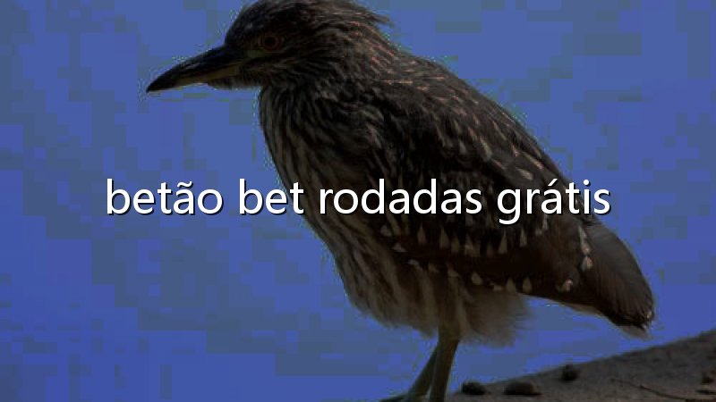 Casa de aposta rodadas gratis: encontre ofertas que valorizam sua diversão