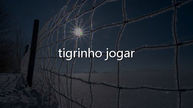 Golpe jogo do tigrinho: como reconhecer promessas falsas e jogar com mais segurança