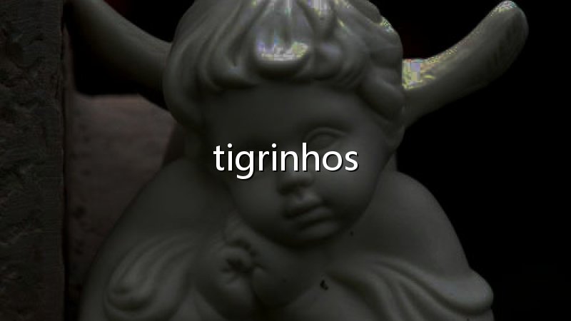 Como baixar a plataforma do tigrinho: cuidados com aplicativos, links e dados